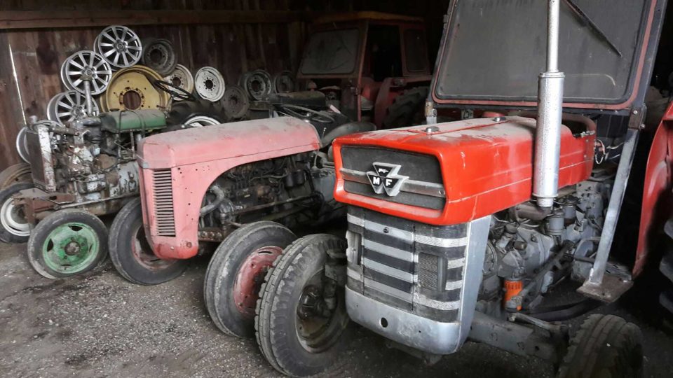 Scheunenfund MF Traktor